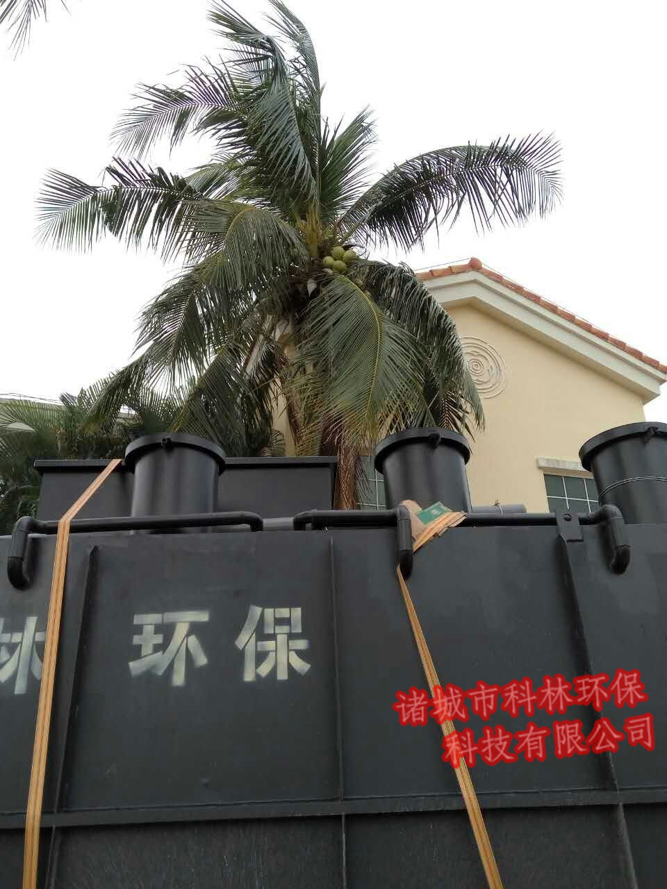 ���������O��D